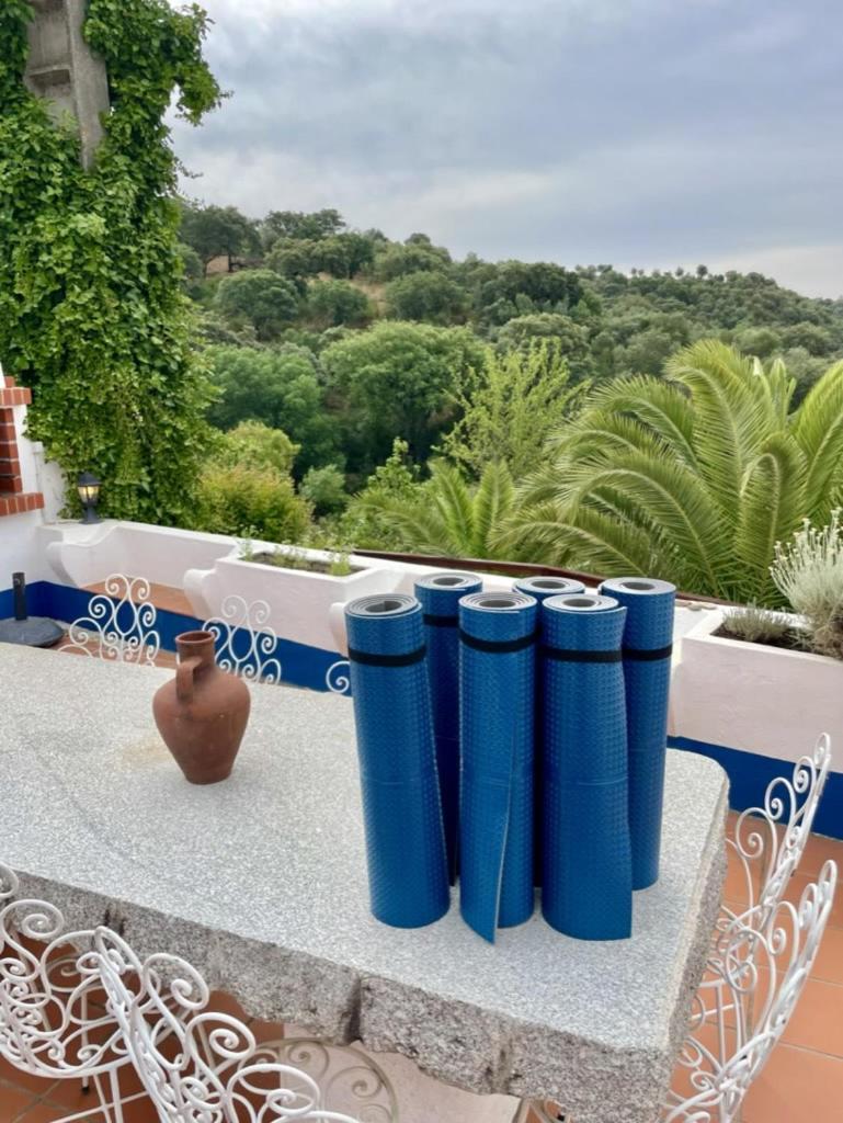 アヴィス Montes De Charme Bed & Breakfast エクステリア 写真